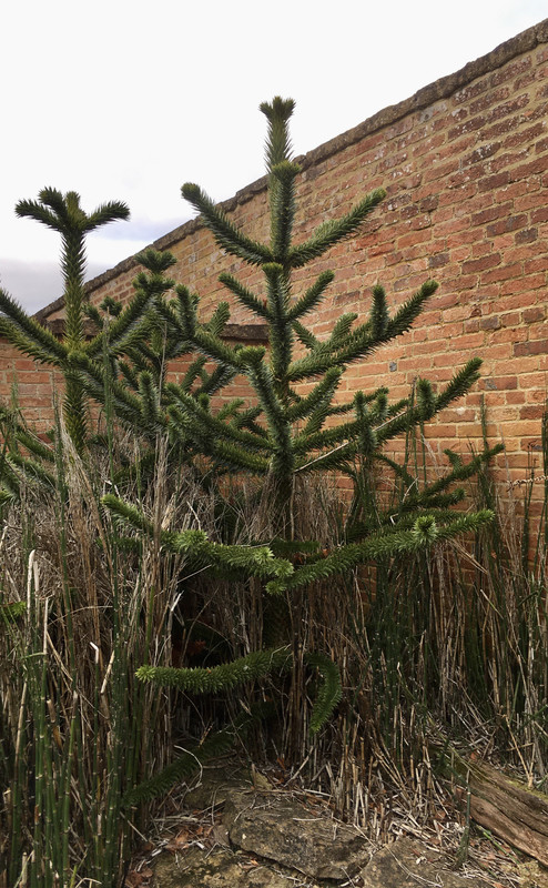 E6680C0D-50CC-4D8D-9494-F3C266D951FF