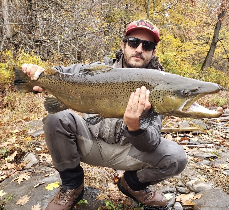 FE186545-1C62-409F-8ECB-9523B2B6783E