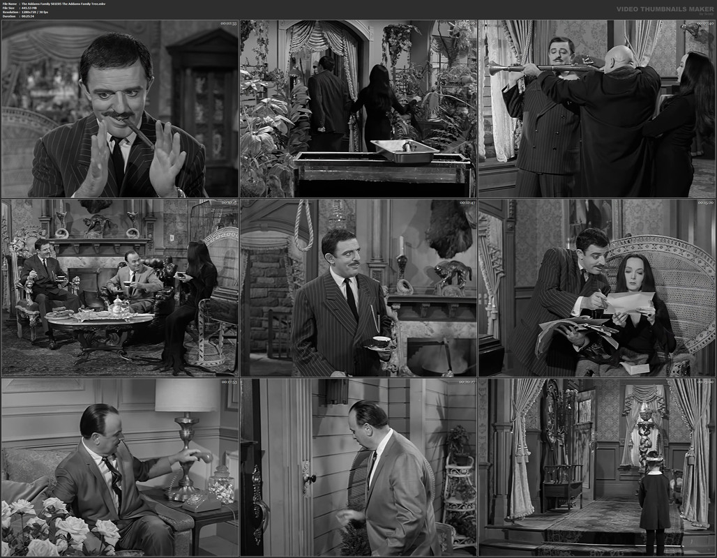 The Addams Family S01E05 The Addams Family Tree.mkv