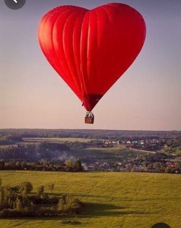 Screenshot_20240210_230708_Pinterest