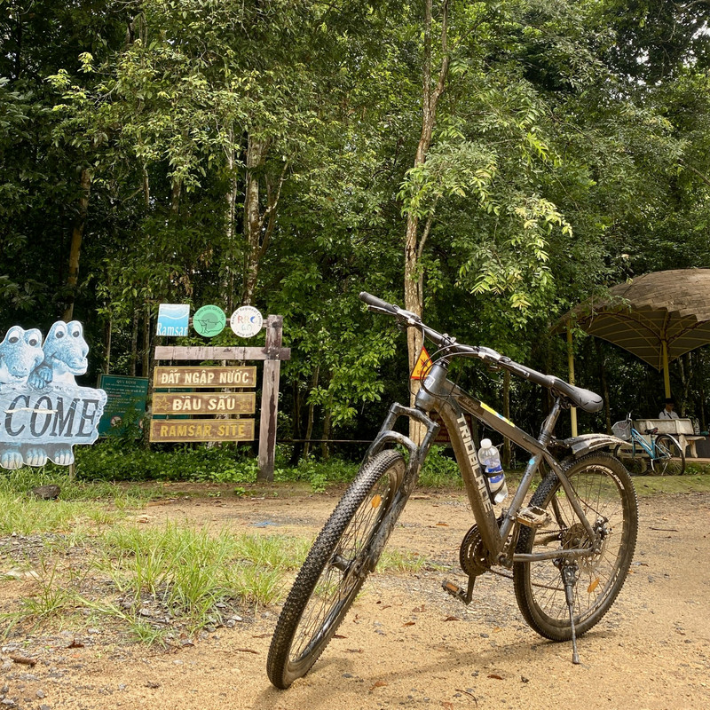 Cover Image of the Post