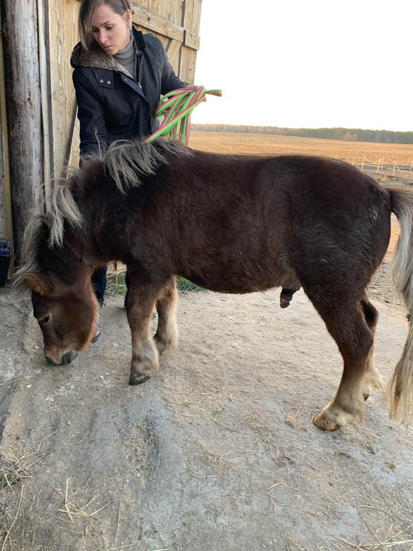 8AF94DFC-6FC6-46A2-971F-12FE3CA5CA47