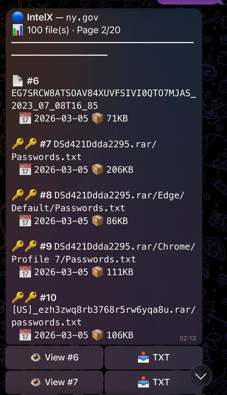 photo 2026 03 06 02 20 51