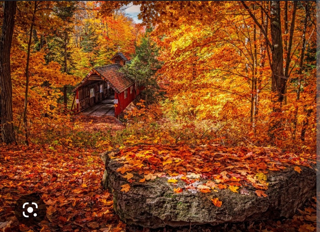 Screenshot_20221127-173434_Chrome