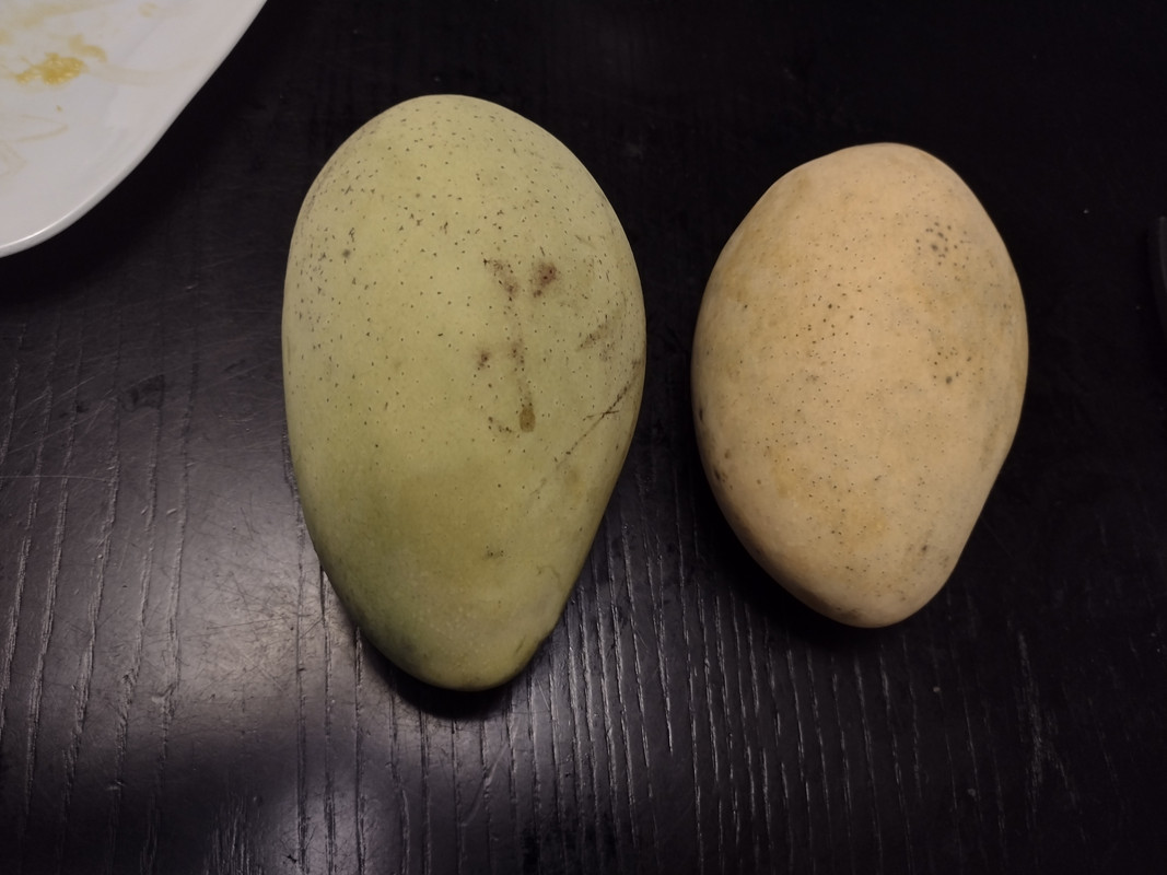 IMG_20210627_190739171_HDR