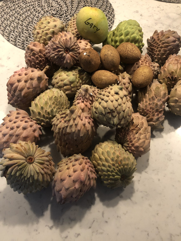 1A0385C8-EDFC-4B76-8C22-49BAF484B0DA