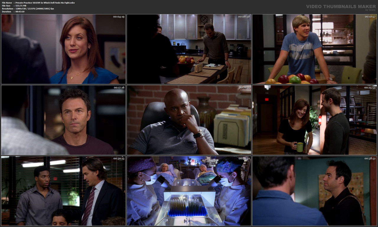 Private Practice S01E09 In Which Dell Finds His Fight.mkv