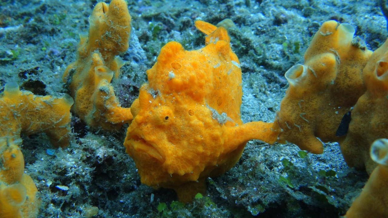 46E024CB-C885-4192-B2B1-7F6EA48178B6