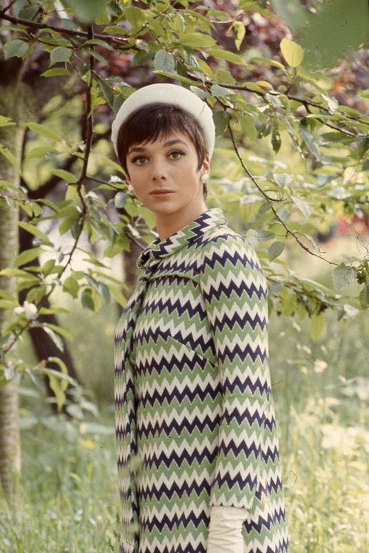 jacqueline_pearce_a01