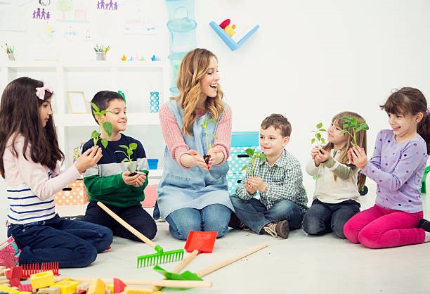 Standard Kindergarten