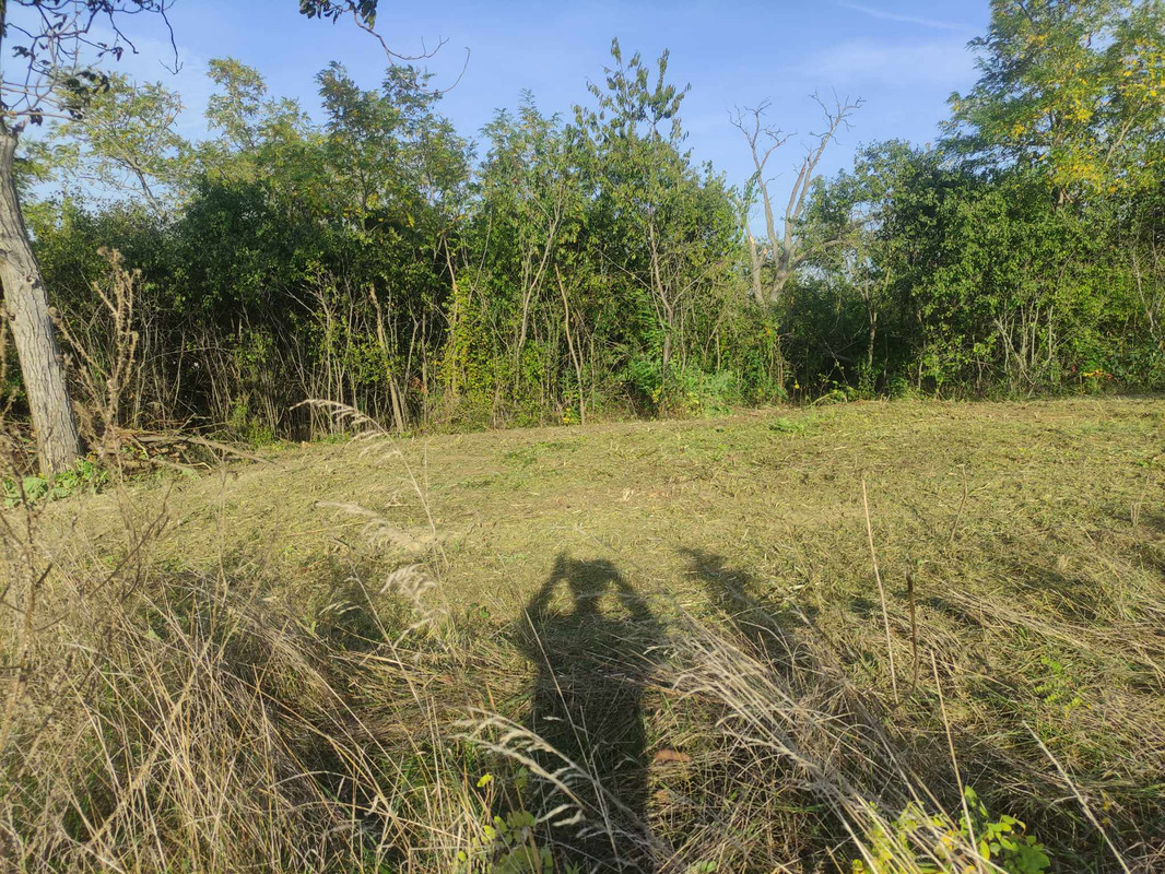 380293518_235925379455939_2083589731038309183_n