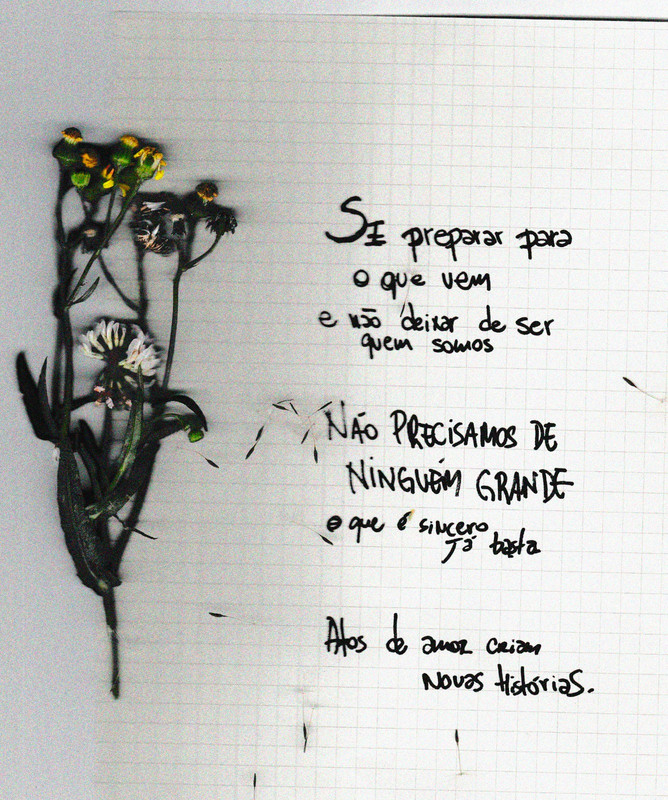 Acolher o que vem