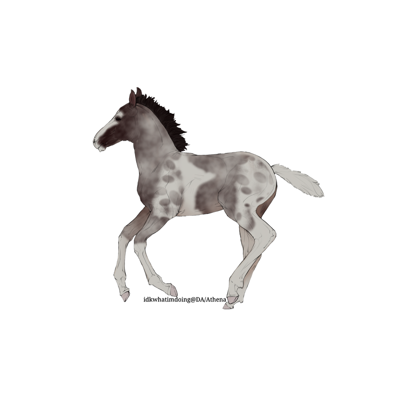 Untitled88-20250511195845.png