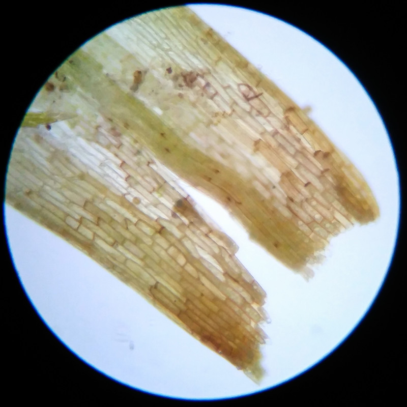 IMG 20250617 121922 HDR