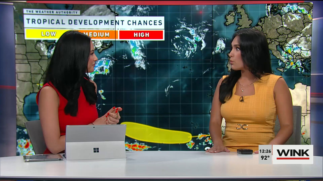 06.15 - 17.00.00 - The WINK Noon News. Midday news update..ts_snapshot_33.03.467