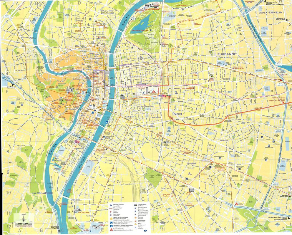 Лион большая