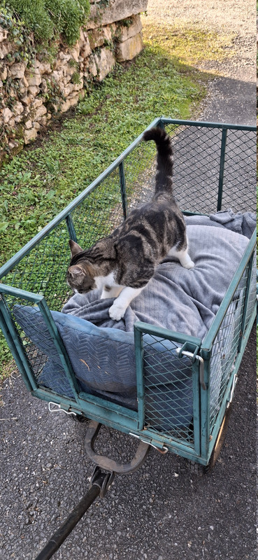 [Image: 20251018-170016.jpg]