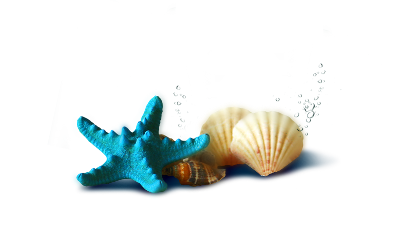 84zgmz864dp.png