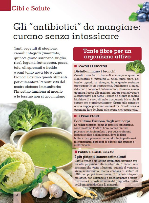 Alim Nat Ott 2016 (5)