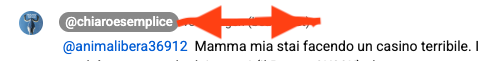 File allegato: