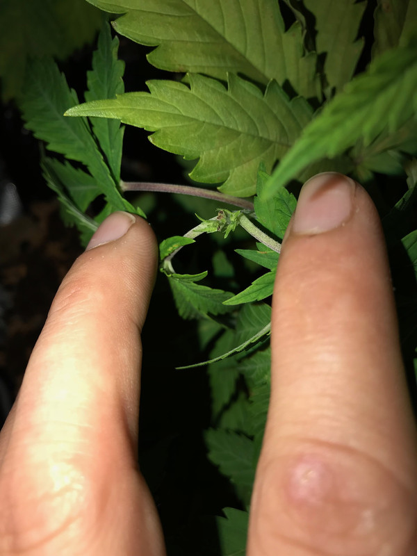 B382D175-4A06-48E3-A48C-FF011D2F67B7