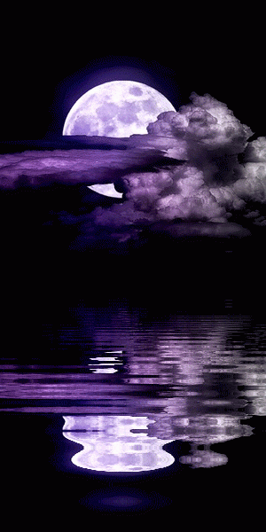 [Изображение: ad199ca6556471d5a30becdfc04fff24.gif]