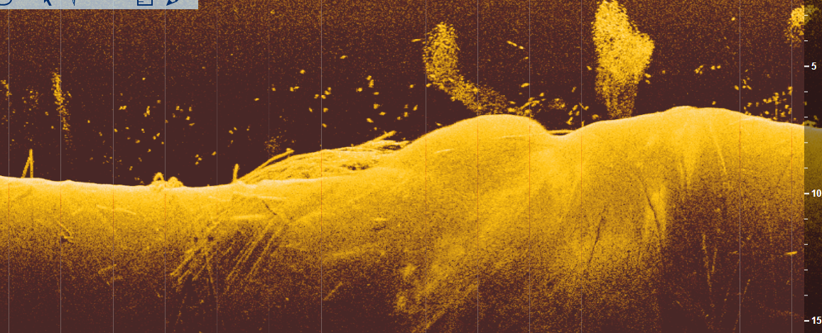 Безымянный