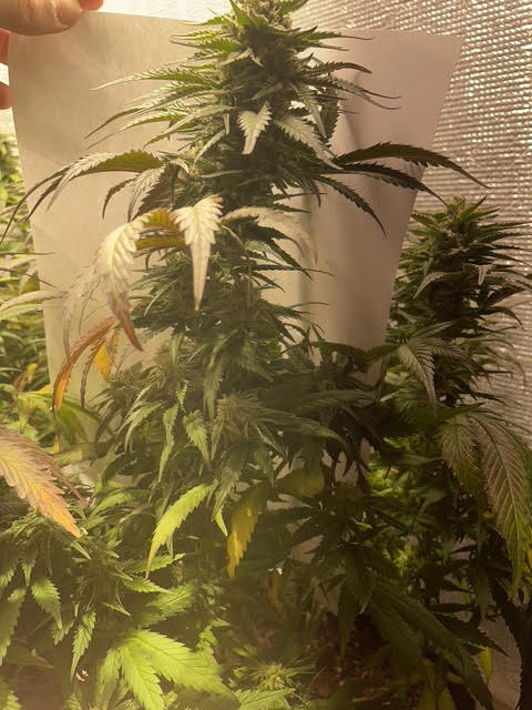 görsel 2026 03 05 181502167