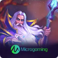 Slot MicroGaming