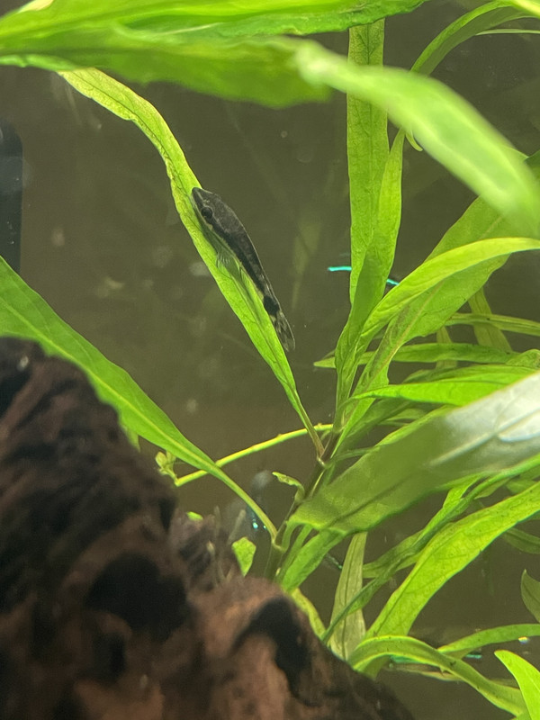 8302FE71-06AE-4963-97C2-B60CD475E719