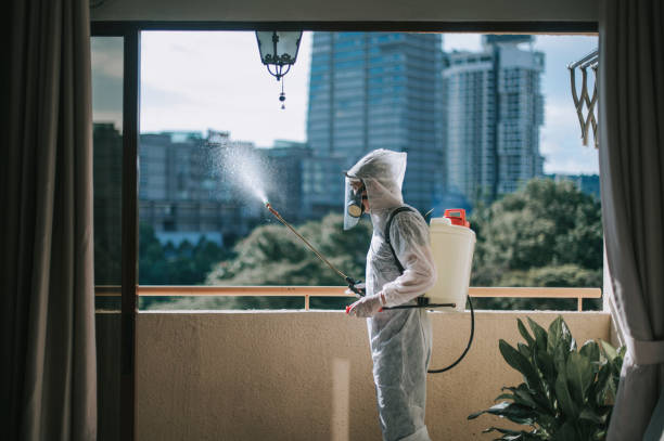 Termite-Treatment-12.jpg
