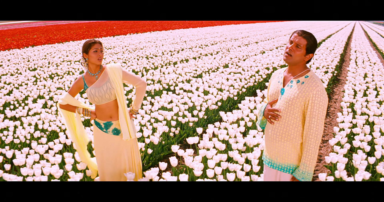 VideoCapture_20241122-195633