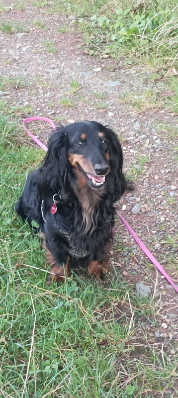 [Image: IMG-20241103-163130.jpg]