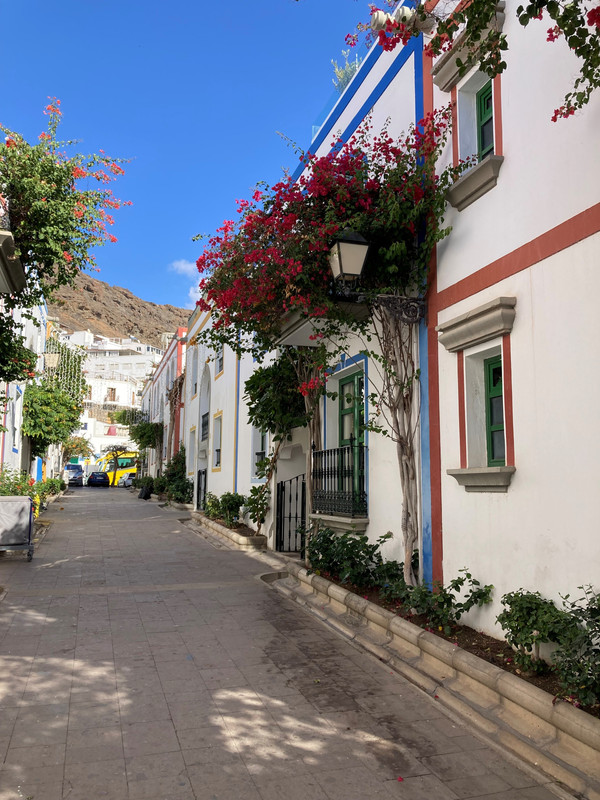 Puerto de Mogan Bougainvillea