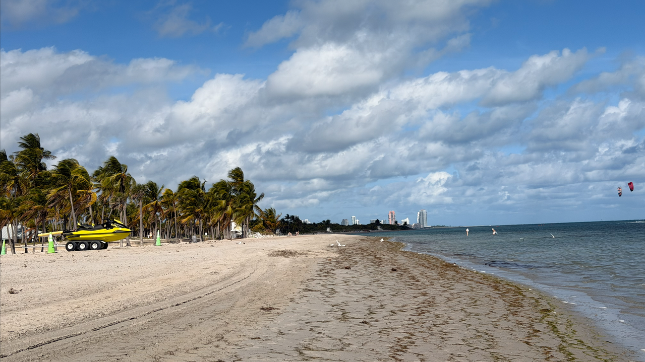 [Image: Crandon-Beach-On-Key-Biscayne6.png]