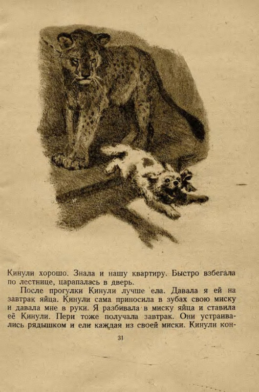 p0033