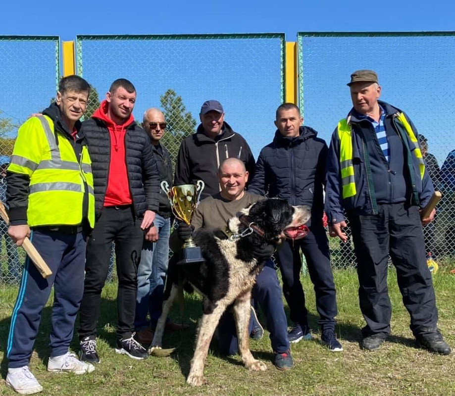 B22541A1-18A3-4CE3-9336-8E48A0415856