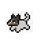 IMG-1007.gif