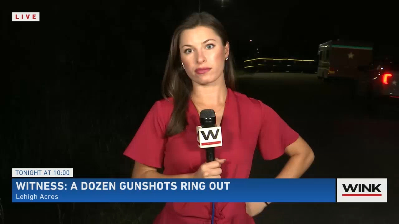 10.15 - 03.00.00 - WINK News at 10 00 p.m..ts_snapshot_09.10.883