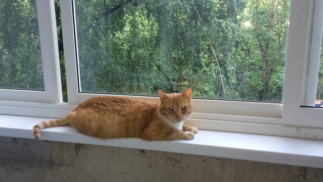 IMG-26f18873599edd923833b2bfed1f9678-V