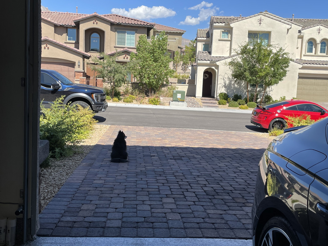 5E18139B-4CD0-4CBC-A36E-9171AA69F0F3