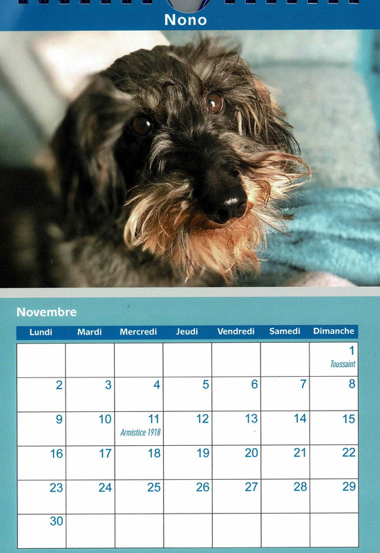 [Image: Num-risation-20250826-7-Copie.jpg]