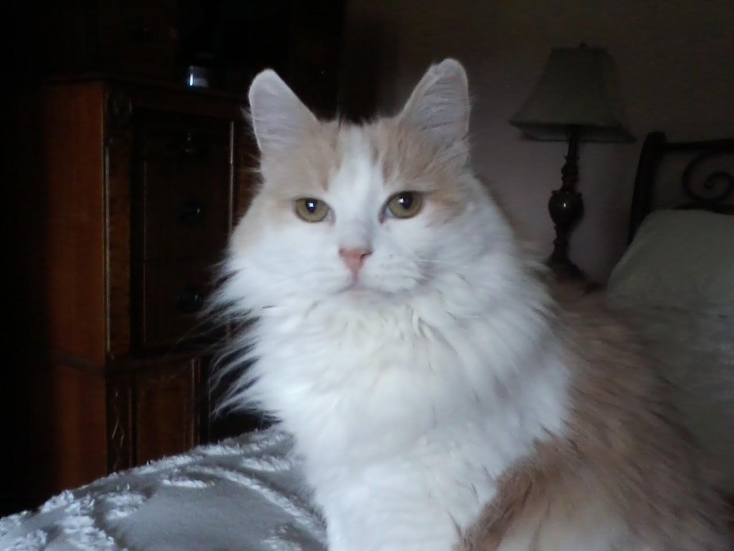 621F551A-349E-4EC7-94C7-1763E2336863