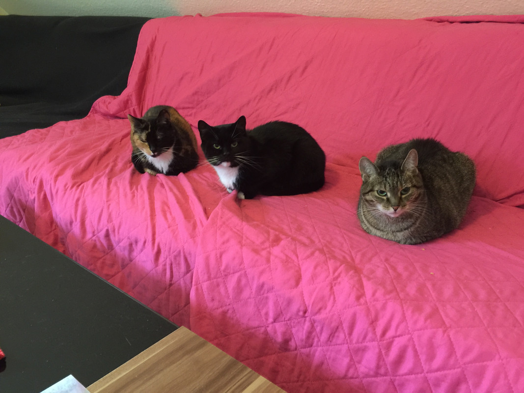 3201CFC0-F9A6-472C-B846-7D82D3E0E330