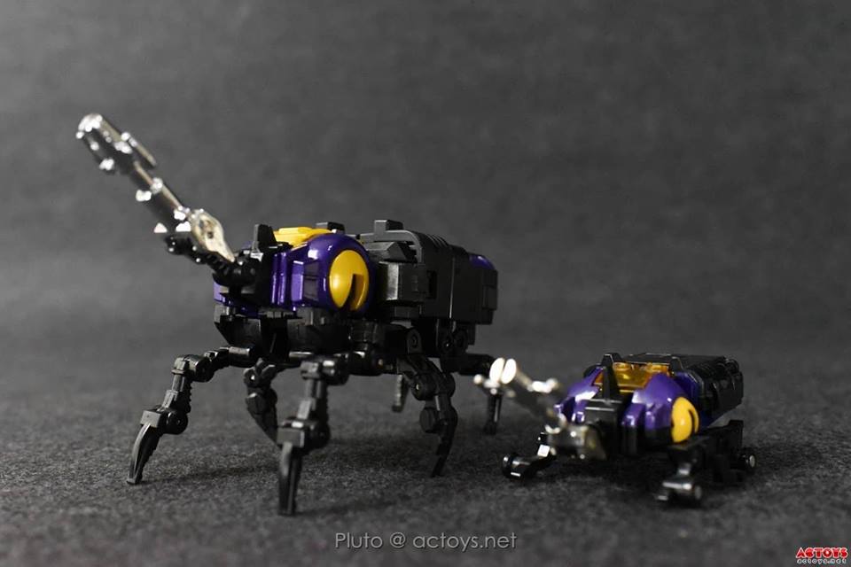 11800536_870623829690694_4359470938478336903_n