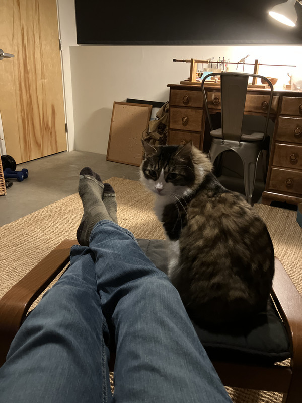 E239D2F3 553A 414E B260 99F20812697E