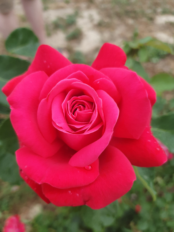 [Image: 20220620-094445.jpg]