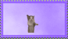 jumping cat