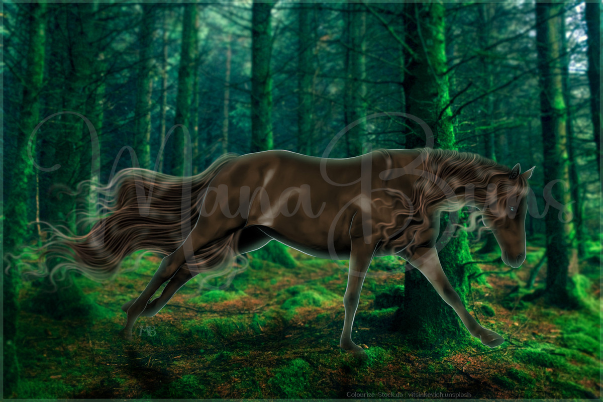 Dark-Forest-WIP