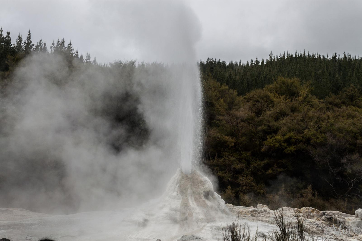 Nueva Zelanda/Islas Cook - Viaje de novios a la Tierra Media - Blogs de Nueva Zelanda - Día 3. Wai O Tapu & lago Taupo. Noche en PN Tongariro (1)